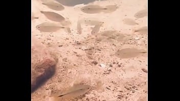 Pezinhos com peixinhos