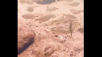 Pezinhos com peixinhos