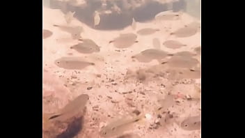 Pezinhos com peixinhos