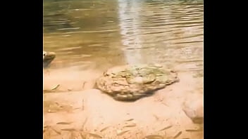 Pezinhos com peixinhos Pezinhos com peixinhos