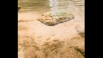 Pezinhos com peixinhos