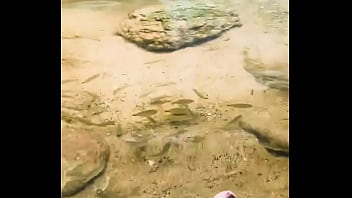 Pezinhos com peixinhos