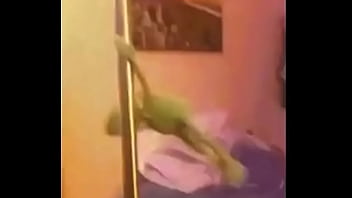 Quentin Yu thumbnail