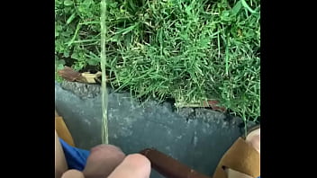 Flashing In Dog Park And Taking A Piss thumbnail