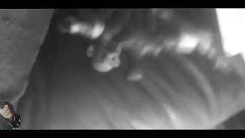 Vídeo de verificación