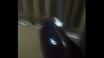 Vídeo de verificação