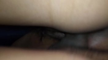 Quería de la posición de perrito