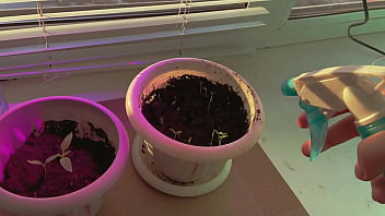 домашнее видео лолилолы снятое на телефон