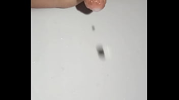 Latteria della troia