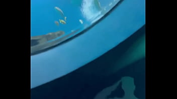 Can’t even take me to the aquarium