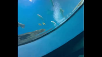 Can’t even take me to the aquarium