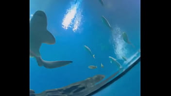 Can’t even take me to the aquarium