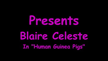 Human guinea pigs blaire celeste