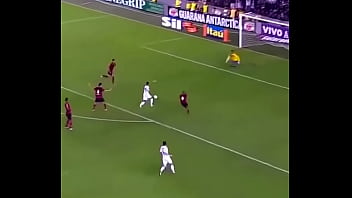 Vídeo de verificação