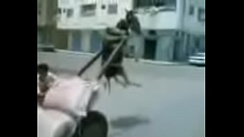 Overload3gp thumbnail