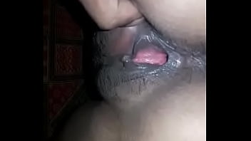 Hi Hi