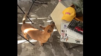 It's harder than it looks