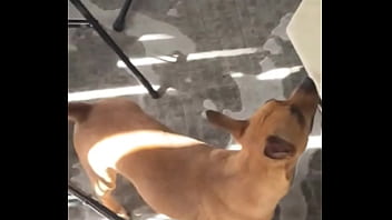 It's harder than it looks