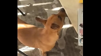 It's harder than it looks