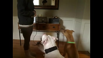 Incredible sexy honey having