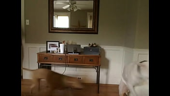 Incredible sexy honey having