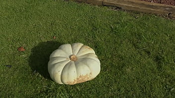 Nz milf sub uses huge pumpkin as her toilet while her master films the action