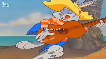 Fodaseeevídeo de verificação