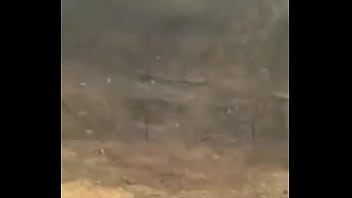 Orgasmo arruinado do qrozne