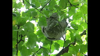 Nonton Orgasm thumbnail