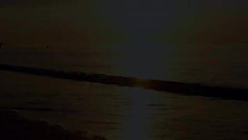 Beautiful latina models in aruba