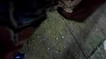 Cheating wife sucking in the park and fingered in public and gets creampied in the motel