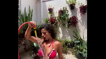 Bonjour update #213 2024 04