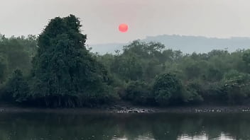 Мне очень нравятся индийские традиции запах хны это запах Индии