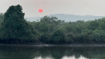 Мне очень нравятся индийские традиции запах хны это запах Индии