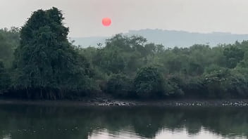 Мне очень нравятся индийские традиции запах хны это запах Индии