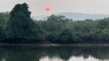 Мне очень нравятся индийские традиции запах хны это запах Индии