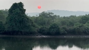 Мне очень нравятся индийские традиции запах хны это запах Индии