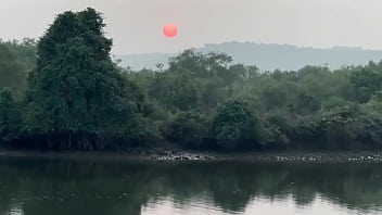 Мне очень нравятся индийские традиции запах хны это запах Индии