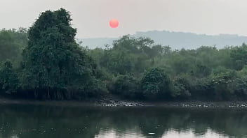 Мне очень нравятся индийские традиции запах хны это запах Индии