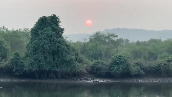 Мне очень нравятся индийские традиции запах хны это запах Индии