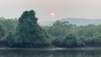 Мне очень нравятся индийские традиции запах хны это запах Индии