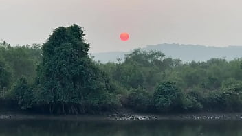 Мне очень нравятся индийские традиции запах хны это запах Индии