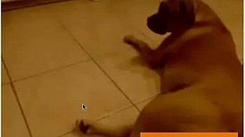 Free webcam chat webcam masturbation free amateur porn video dc