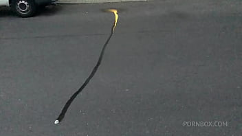 Piss compilation oldbutgold hvh052