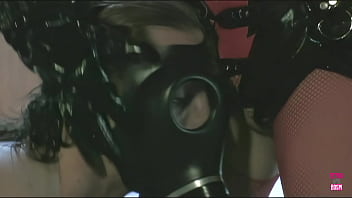 The male's adipose genitalia readily reaches the female's adipose genitalia