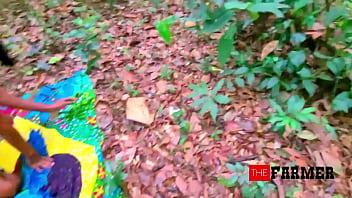 Cat fight at the farmers farm