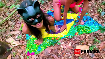 Cat fight at the farmers farm