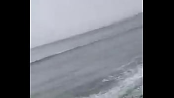 De bacilon en la yapla