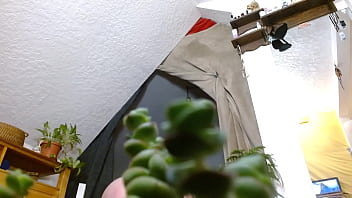 Dawnskye1962 update #140 1297 tiny escaped again but i found him oct 05 2025