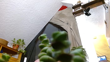 Dawnskye1962 update #140 1297 tiny escaped again but i found him oct 05 2025